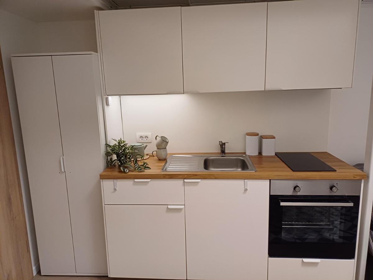 Apartment Afrodita ليوبليانا المظهر الخارجي الصورة